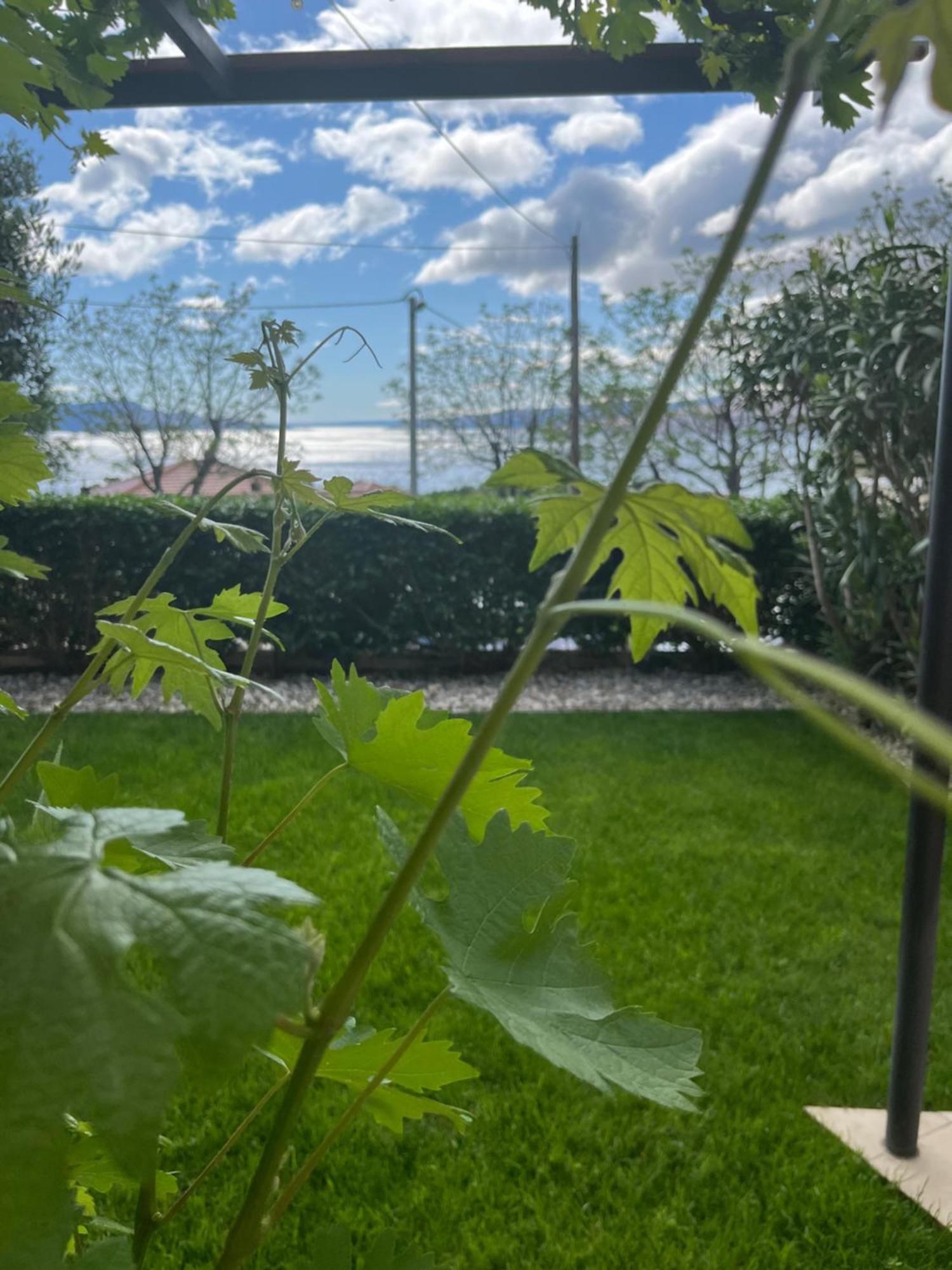 Apartman Mia Senj  Luaran gambar